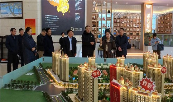 哈密市領(lǐng)導調(diào)研湘恒房地產(chǎn)項目