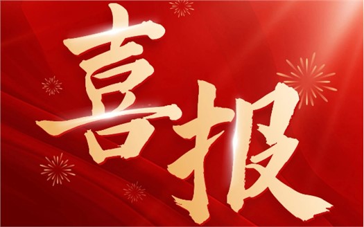 集團榮膺2025中國民營企業(yè)500強第249位，制造業(yè)民營企業(yè)500強第177位，排名較去年雙雙大幅提升