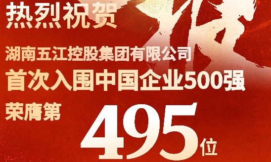 喜報！集團首次躋身中國企業(yè)500強
